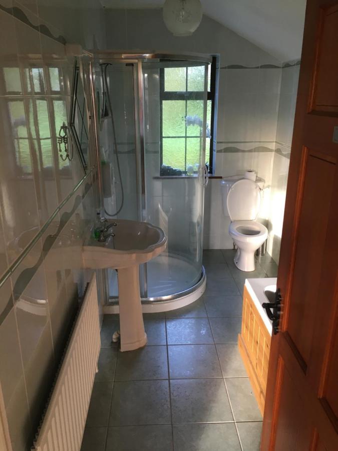 Oakdale, Templemore, E41F856 エクステリア 写真