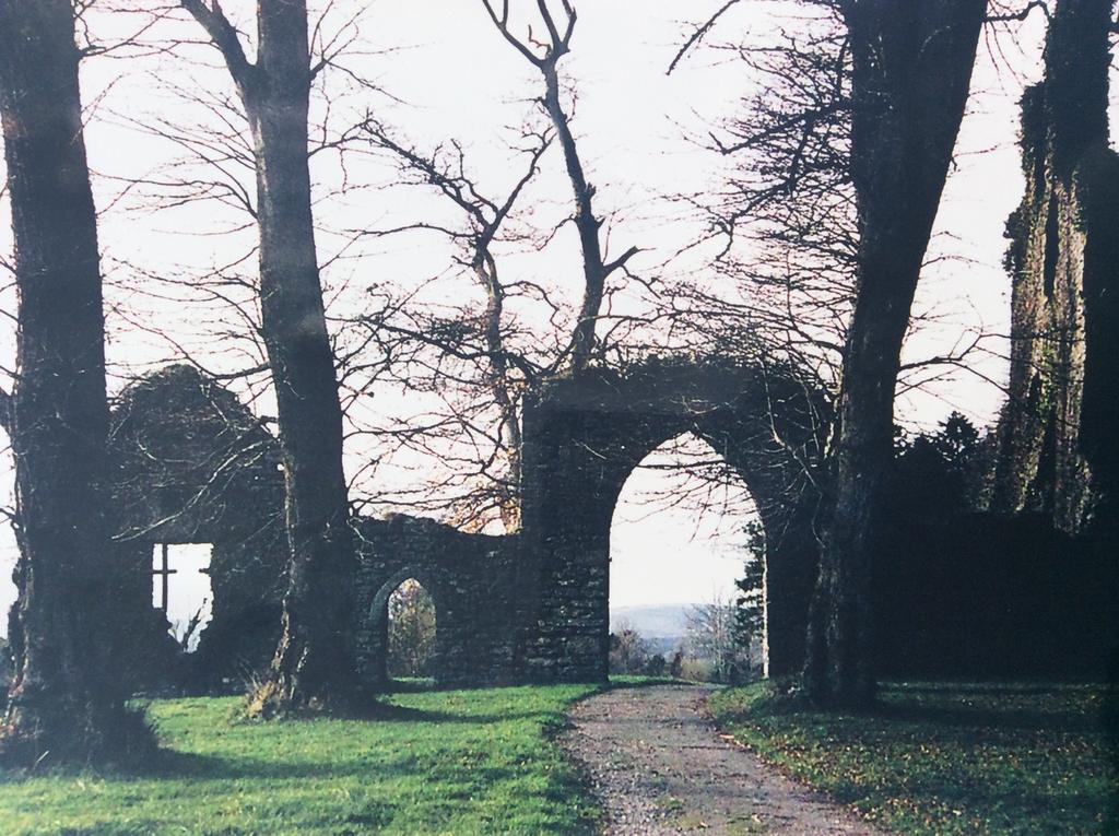 Oakdale, Templemore, E41F856 エクステリア 写真